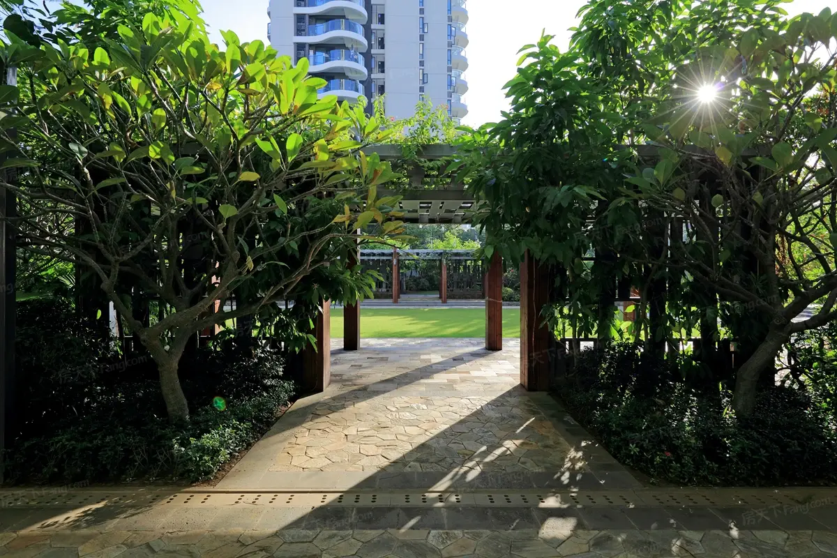实景图:小区园林