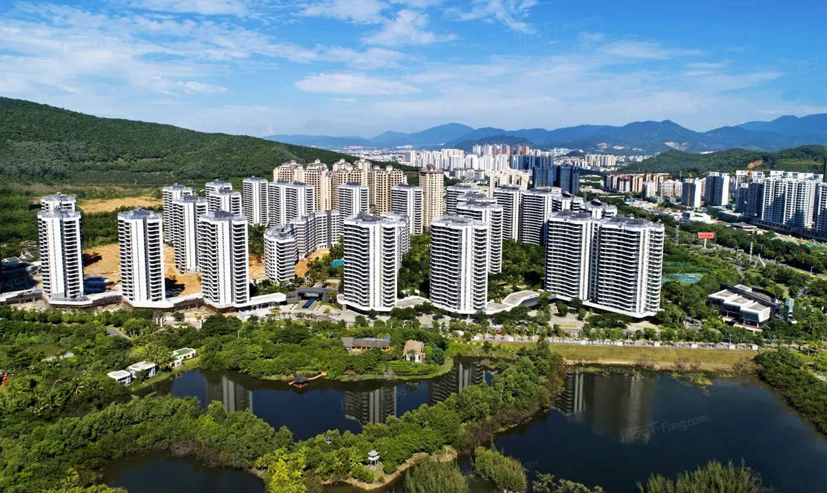 实景图:鸟瞰图