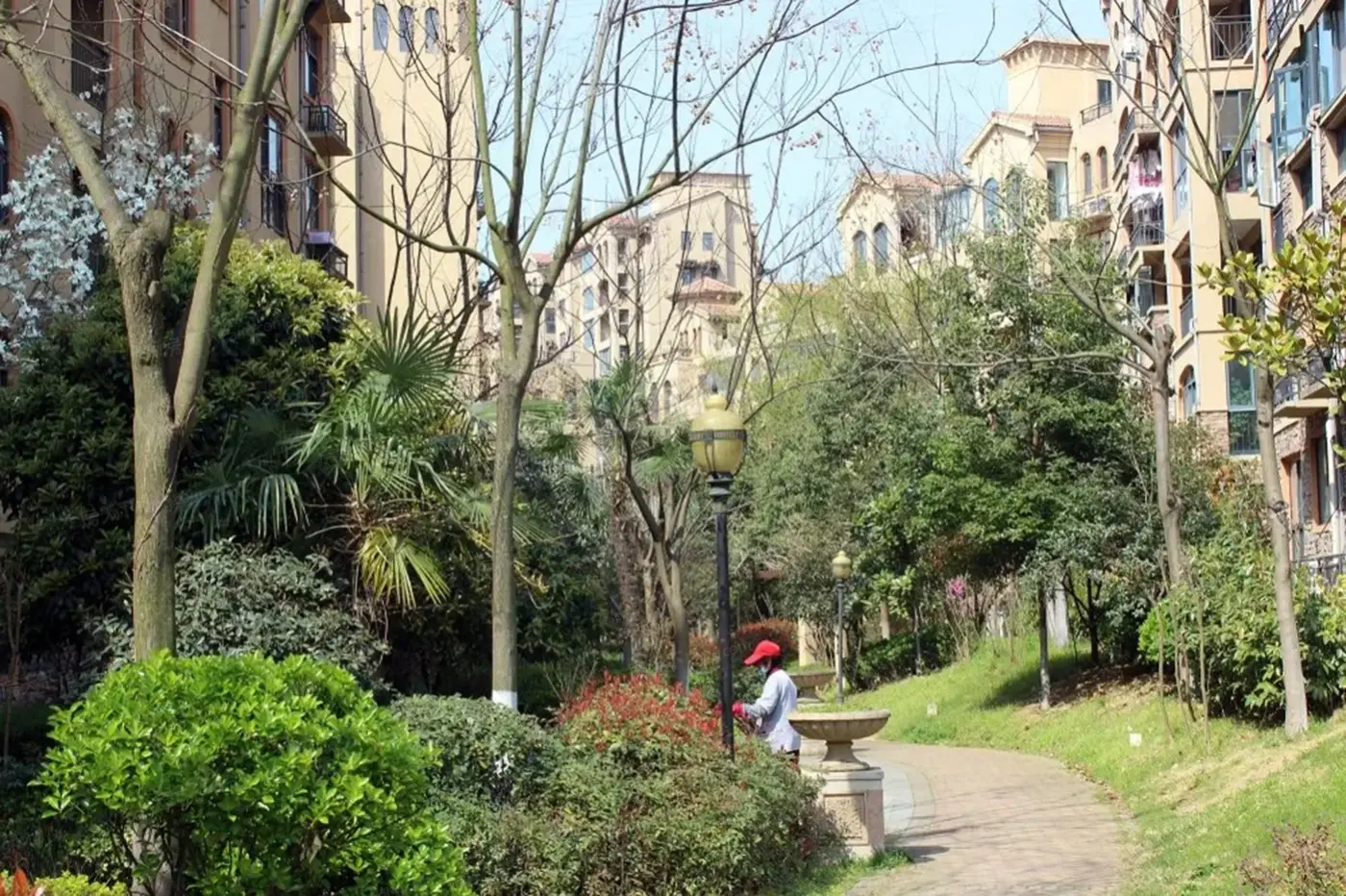 实景图:实景图