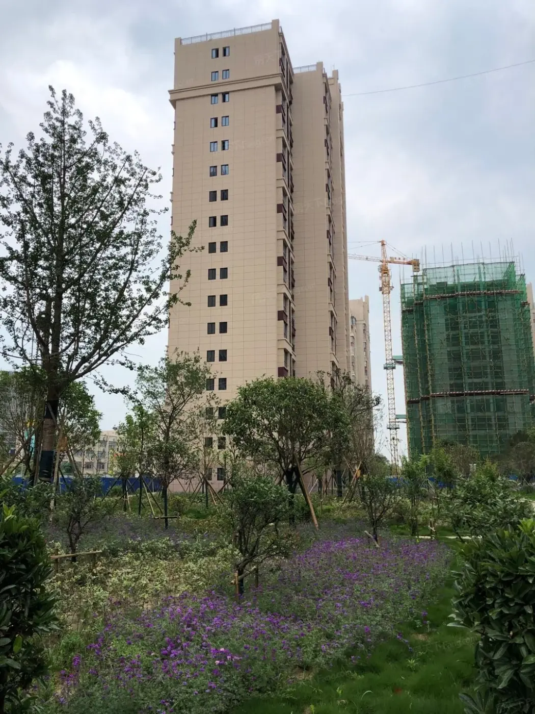 实景图:实景图3