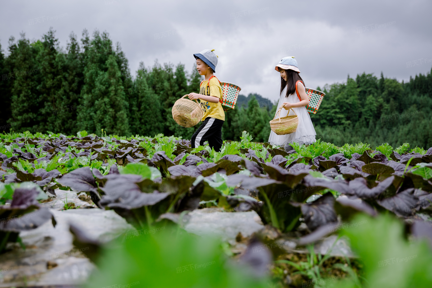 项目现场:雅女湖有机农庄采摘体验