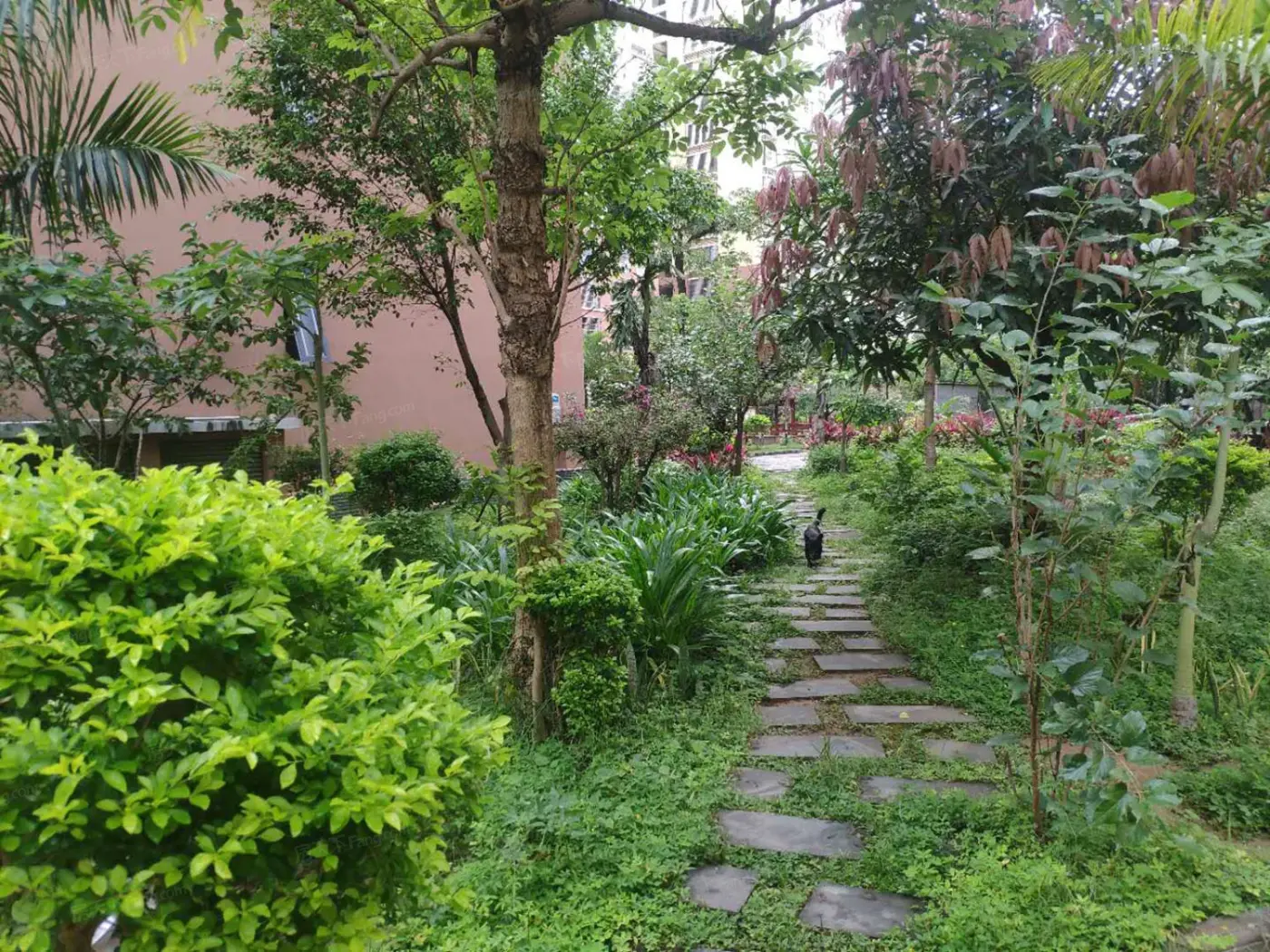 实景图:15