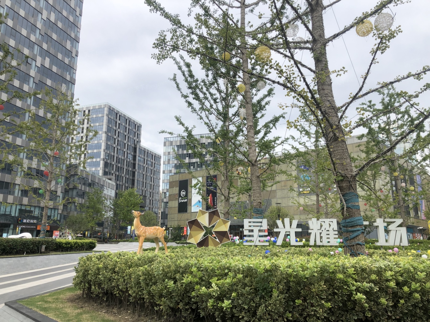 高尚领域