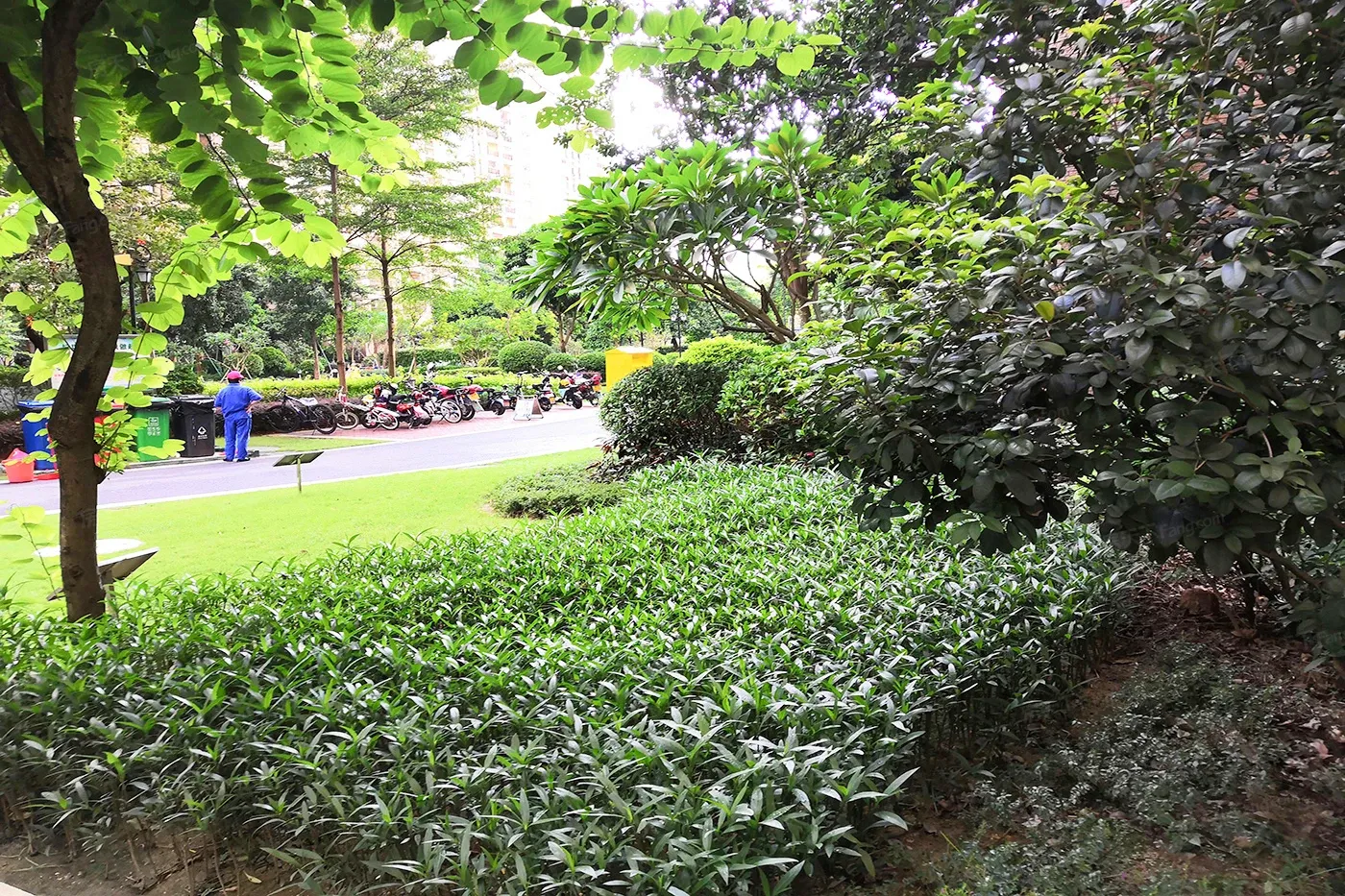 敏捷·东城水岸3室2厅1卫南朝向1100.00元/月出租