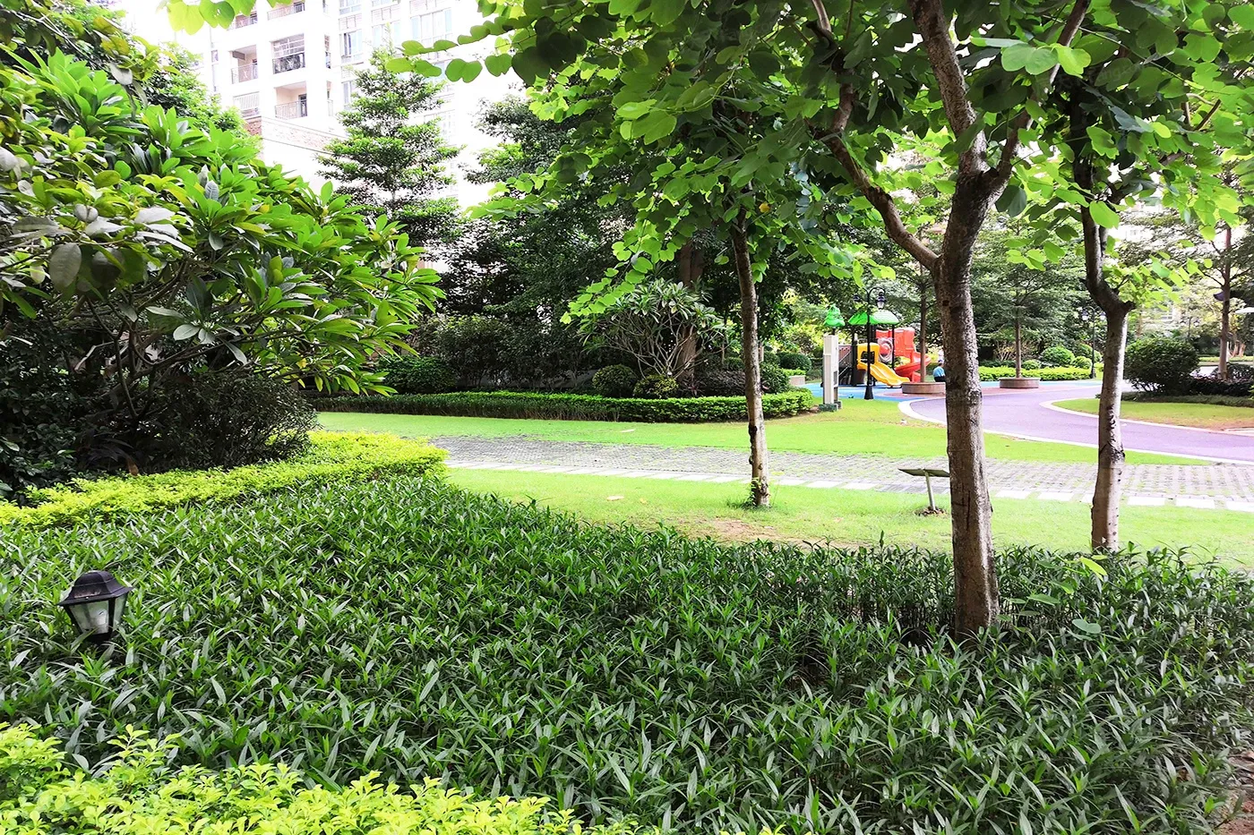 敏捷·东城水岸3室2厅2卫南朝向1800.00元/月出租