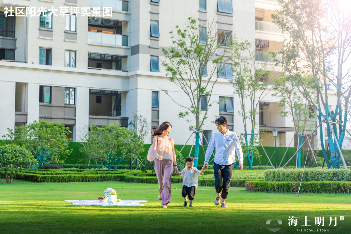 实景图:社区阳光大草坪