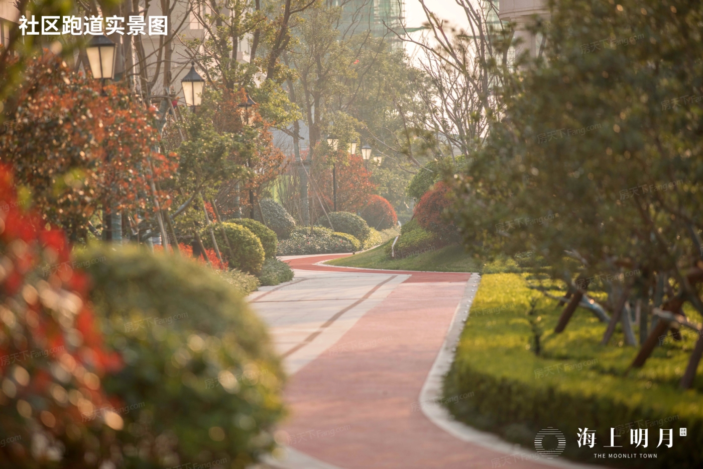 实景图:社区跑道