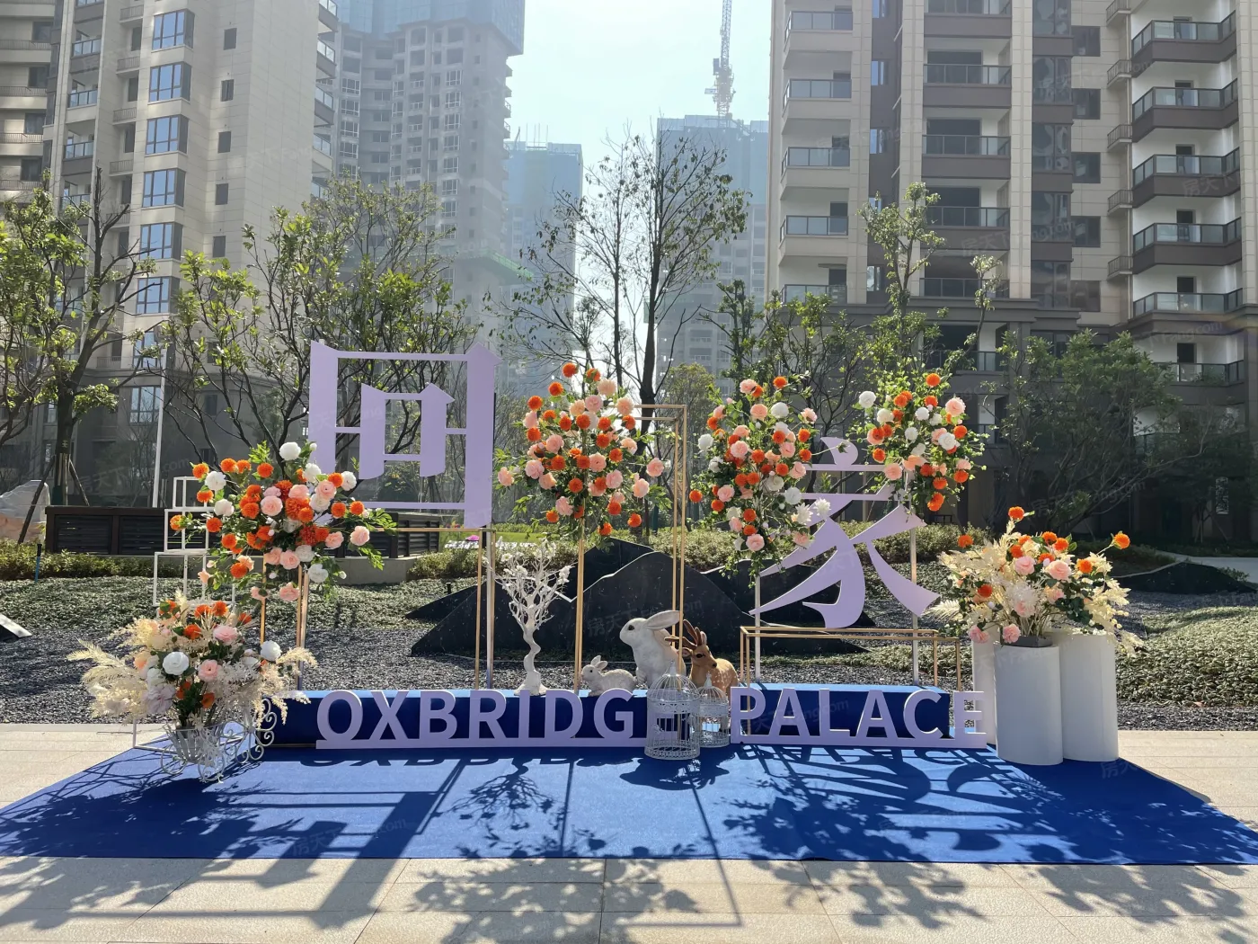 金轮津桥华府4室2厅2卫东南朝向1800.00元/月出租