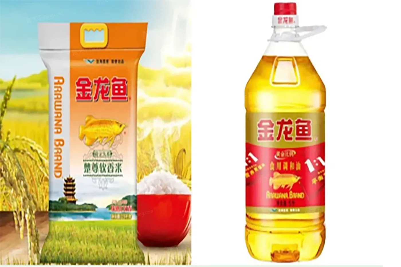 效果图:微信截图_20210311105329