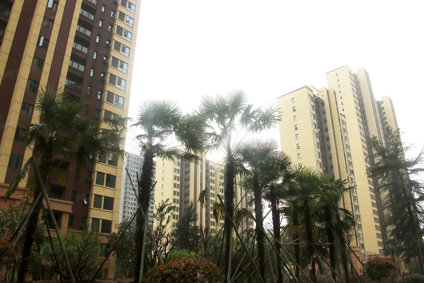 实景图:IMG_8812
