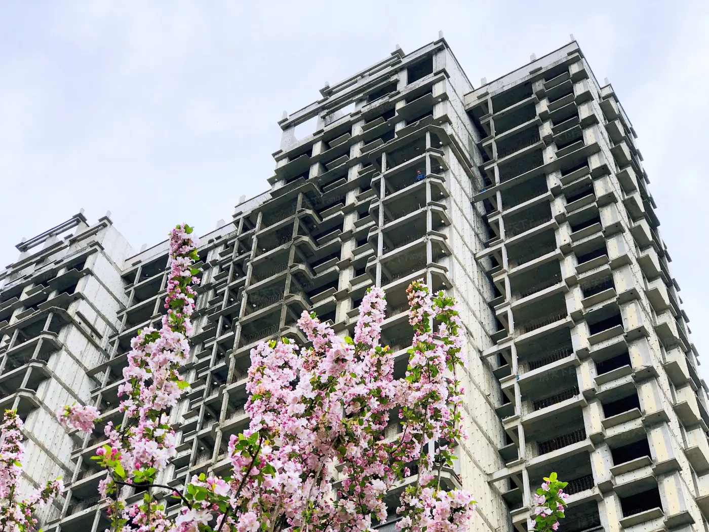 实景图:楼栋实拍