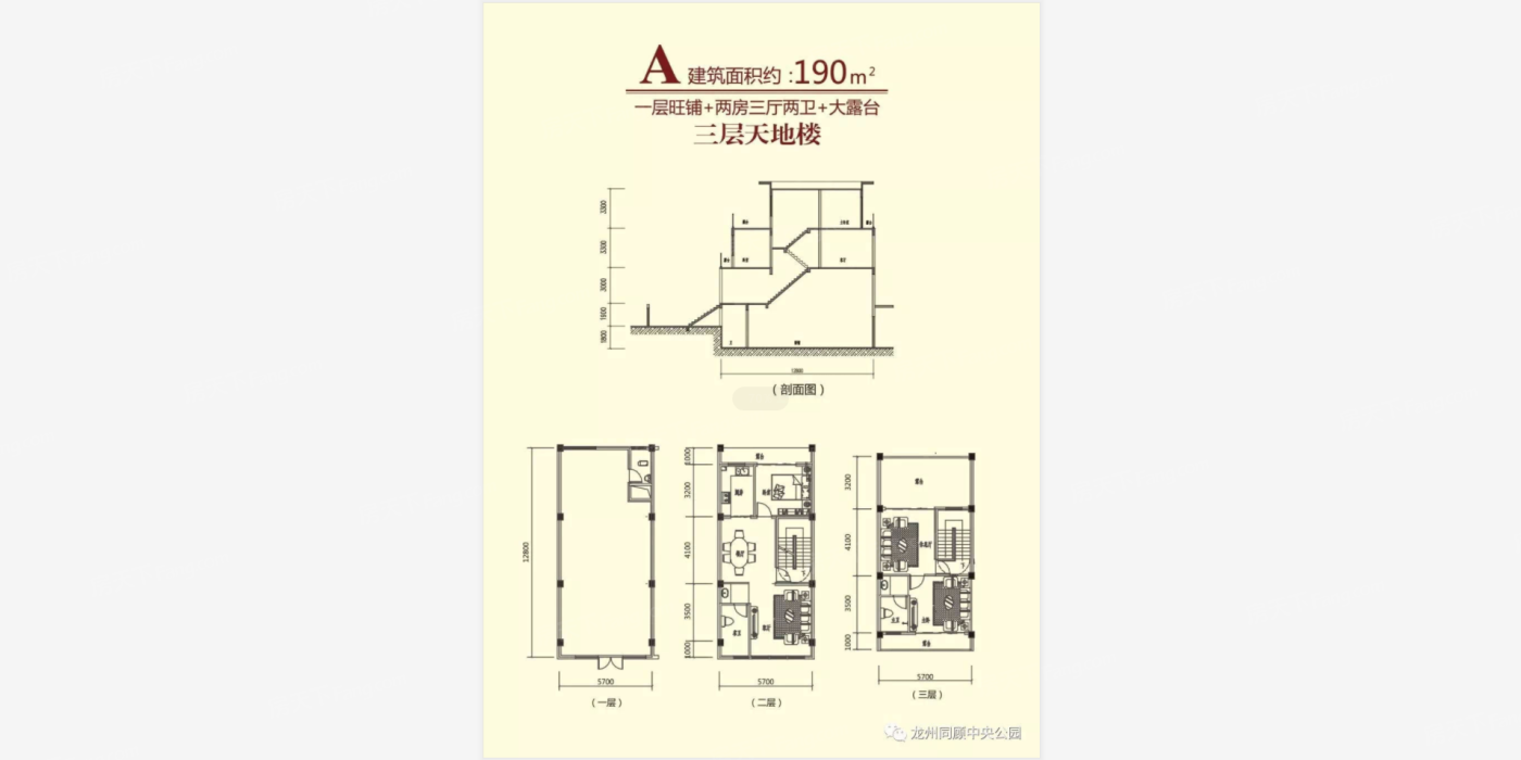 同顾中央公园