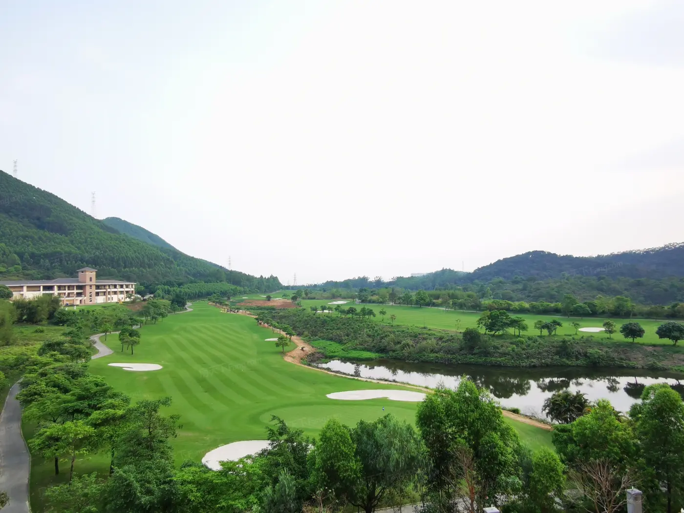 实景图:果岭风景6
