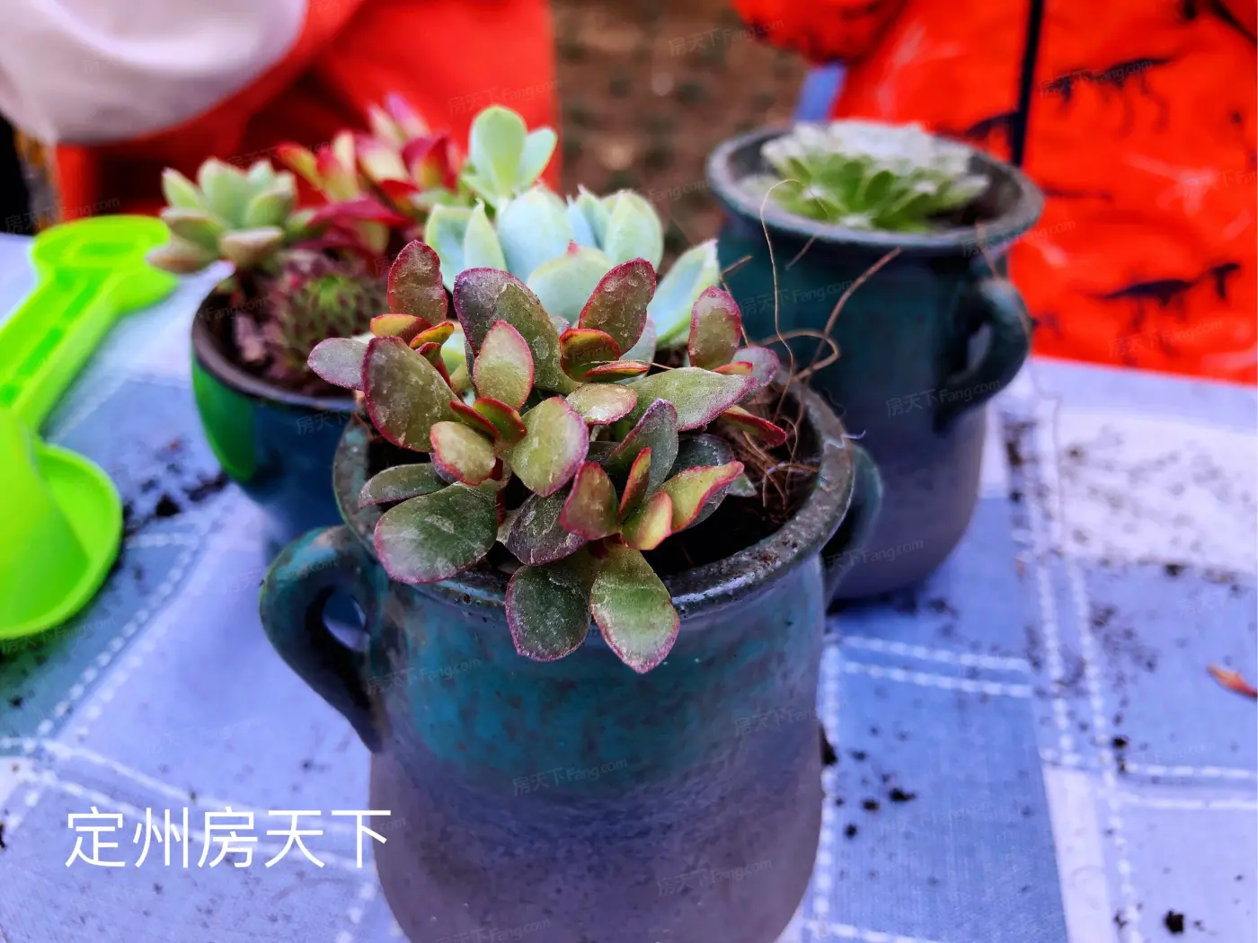 项目现场:5.1日活动实拍