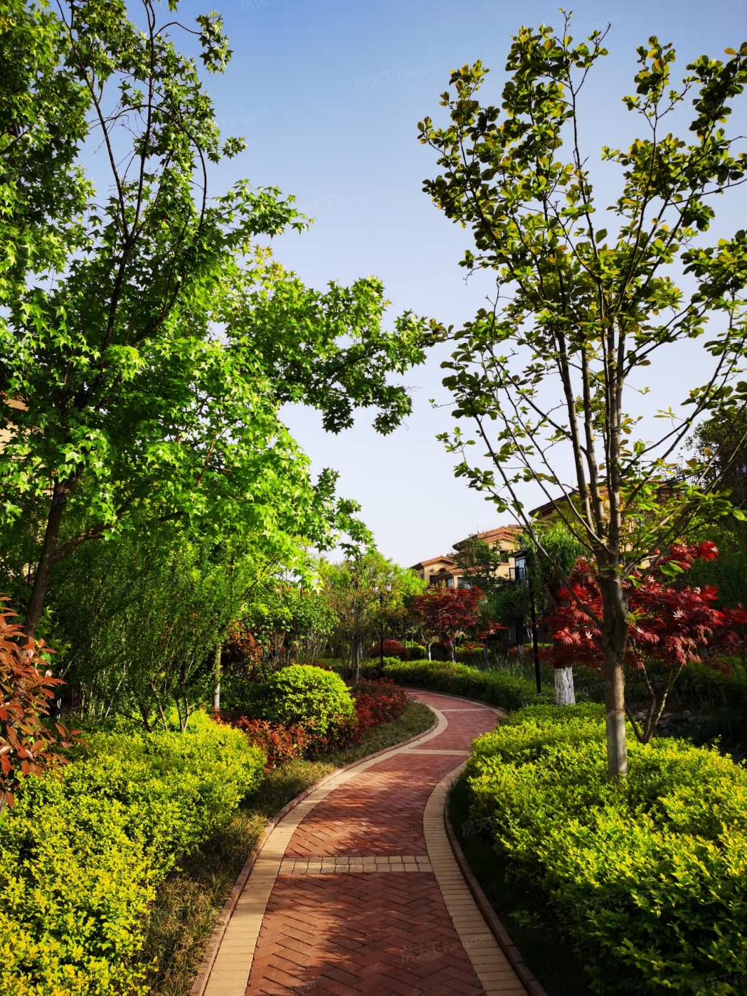 实景图:小区实景