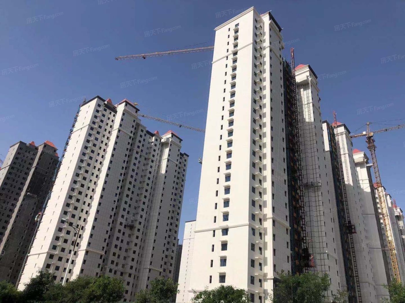实景图:5.25日小区楼栋实拍