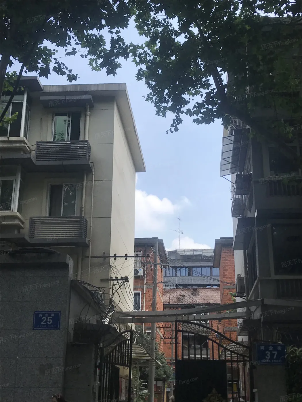 商业街25号院2室1厅1卫南北朝向3000.00元/月出租