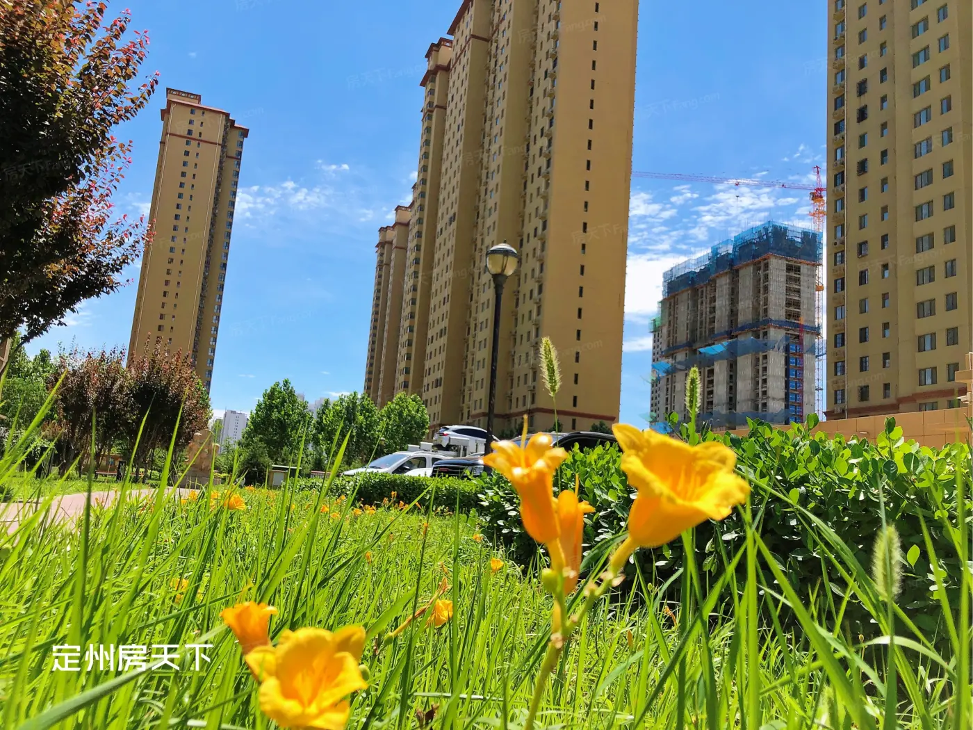 实景图:普霖城6.18小区环境实拍