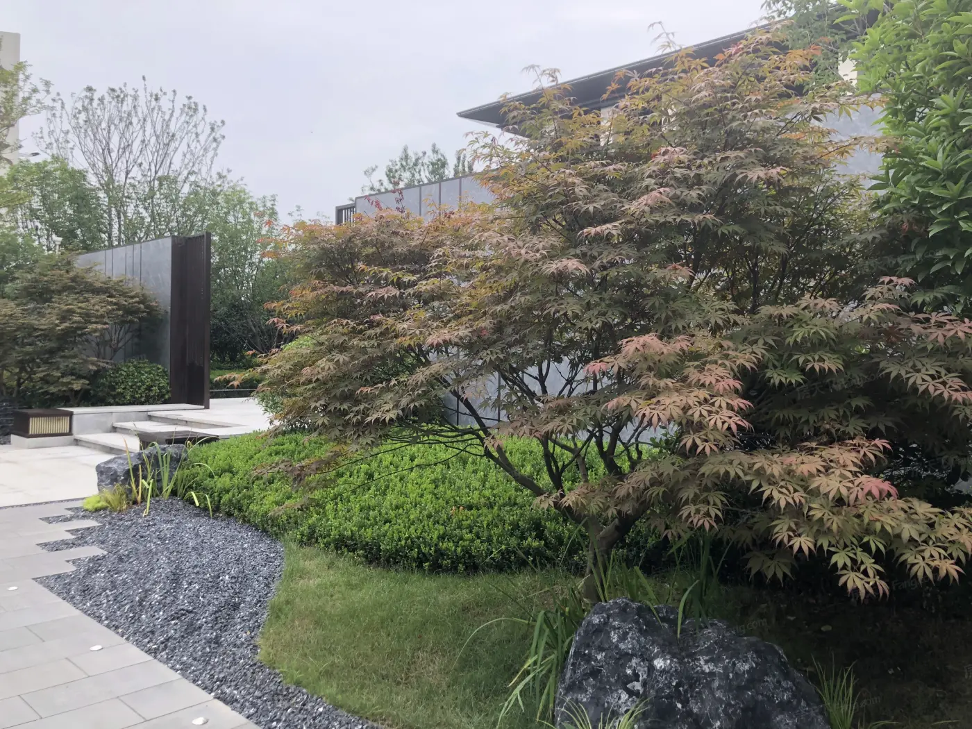 实景图:示范区