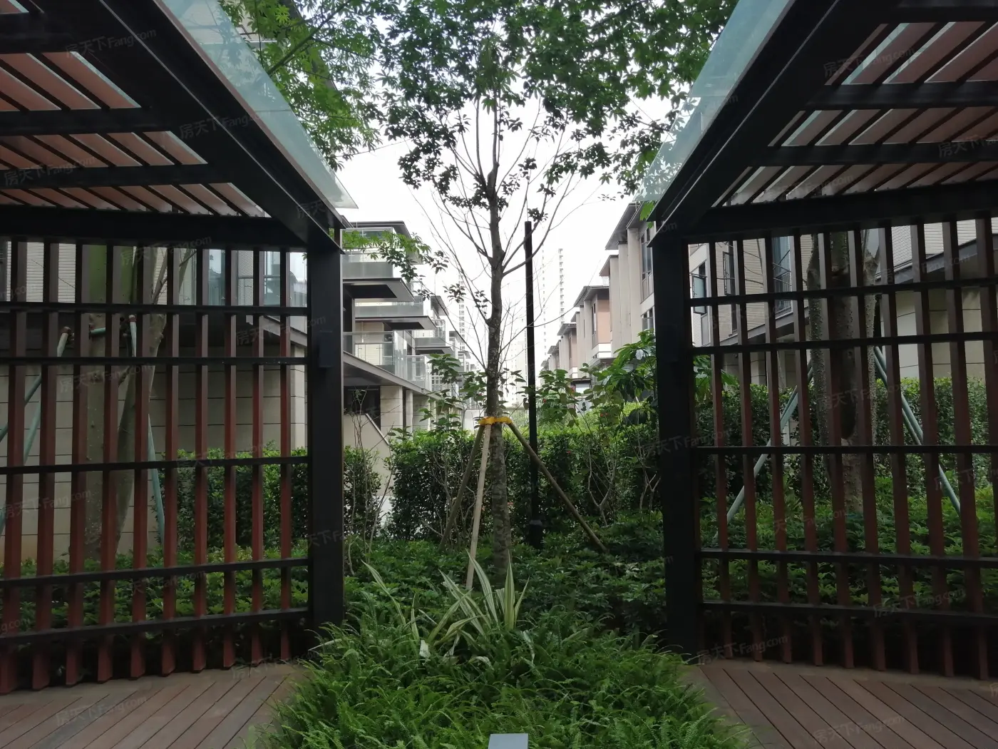 实景图:小区环境