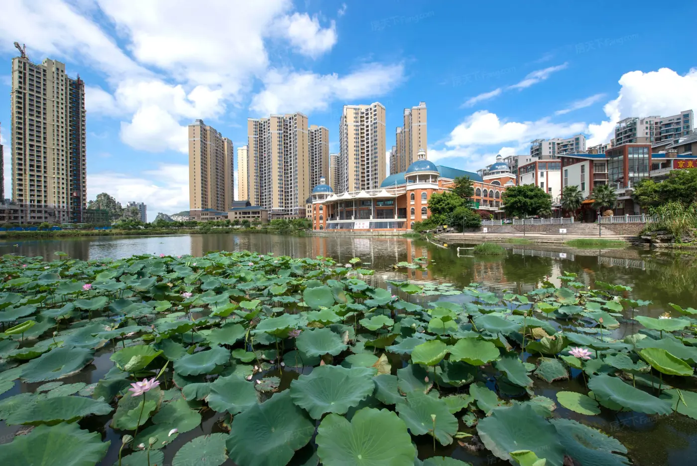 实景图:小区实景图