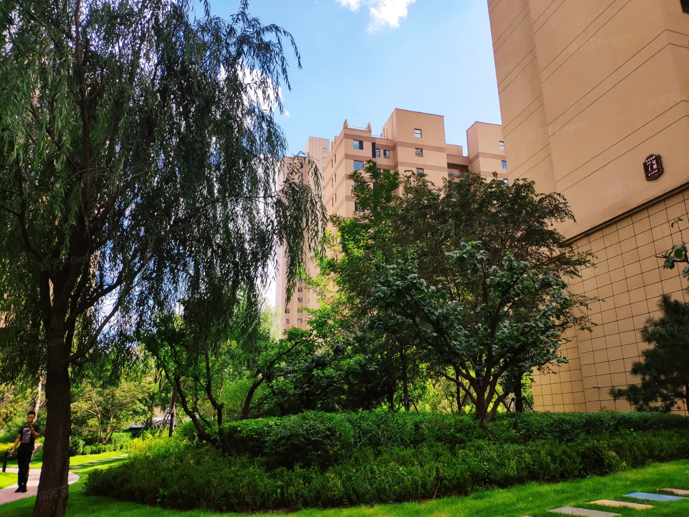 城发绿园2室2厅1卫南北朝向1900.00元/月出租