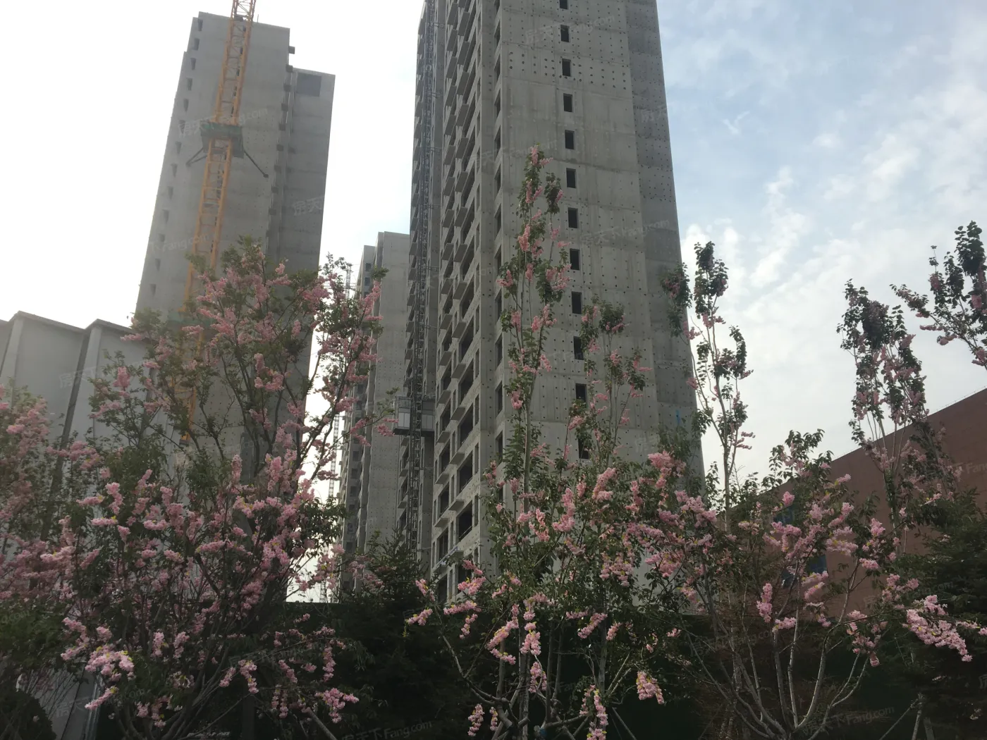 中核和兴府3室1厅1卫南北朝向1100.00元/月出租