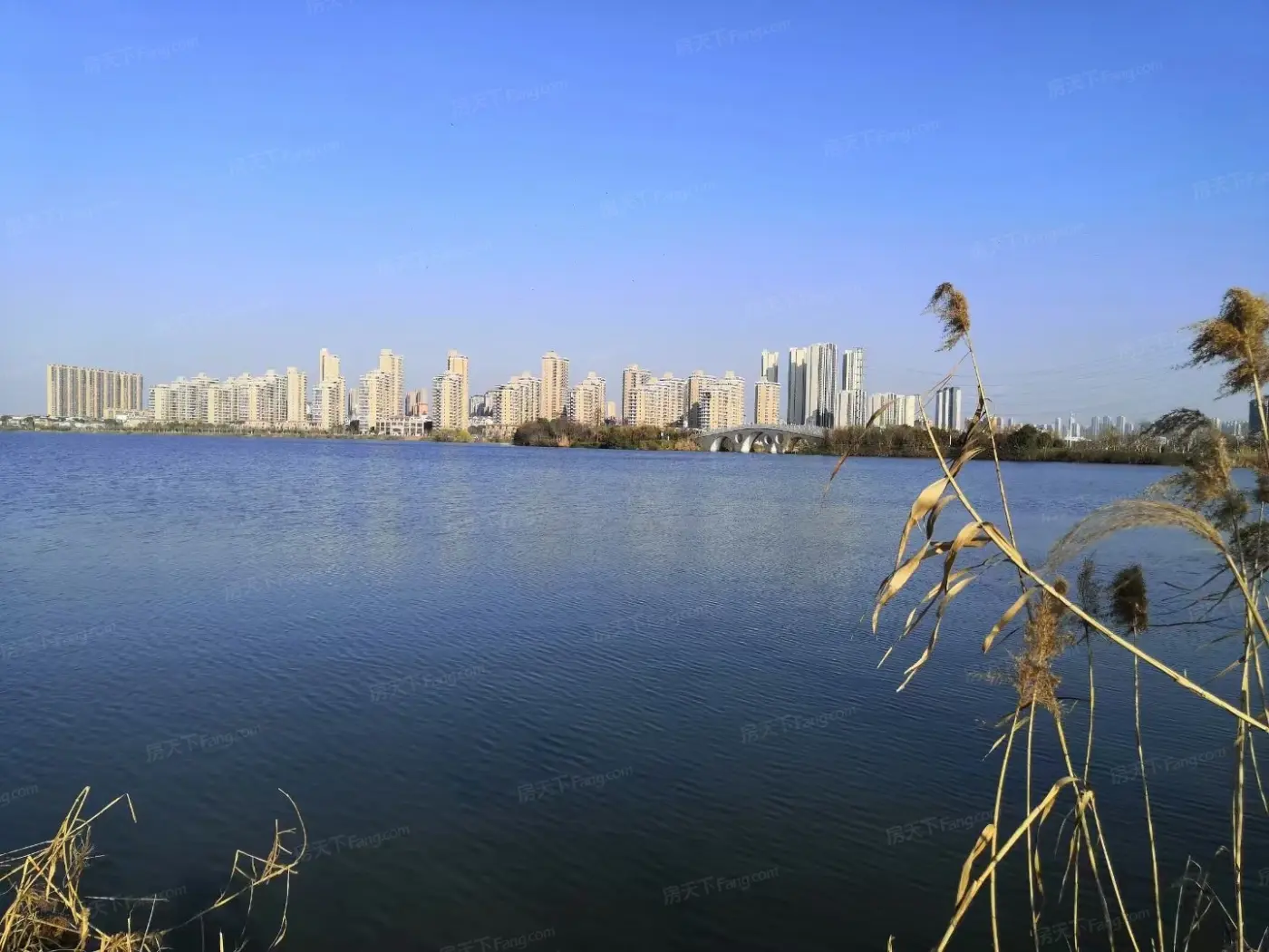 实景图:小区实景