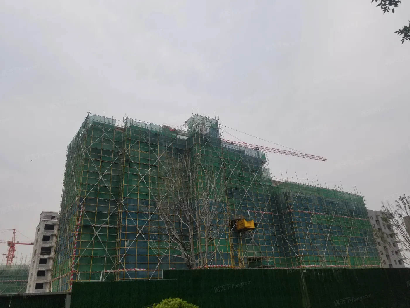 碧桂园凤翔府3室2厅1卫南北朝向1000.00元/月出租