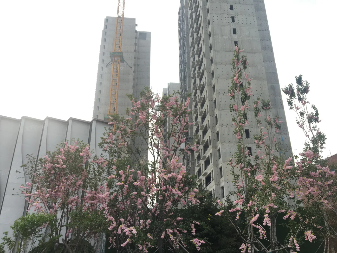 中核和兴府3室2厅1卫南北朝向1200.00元/月出租