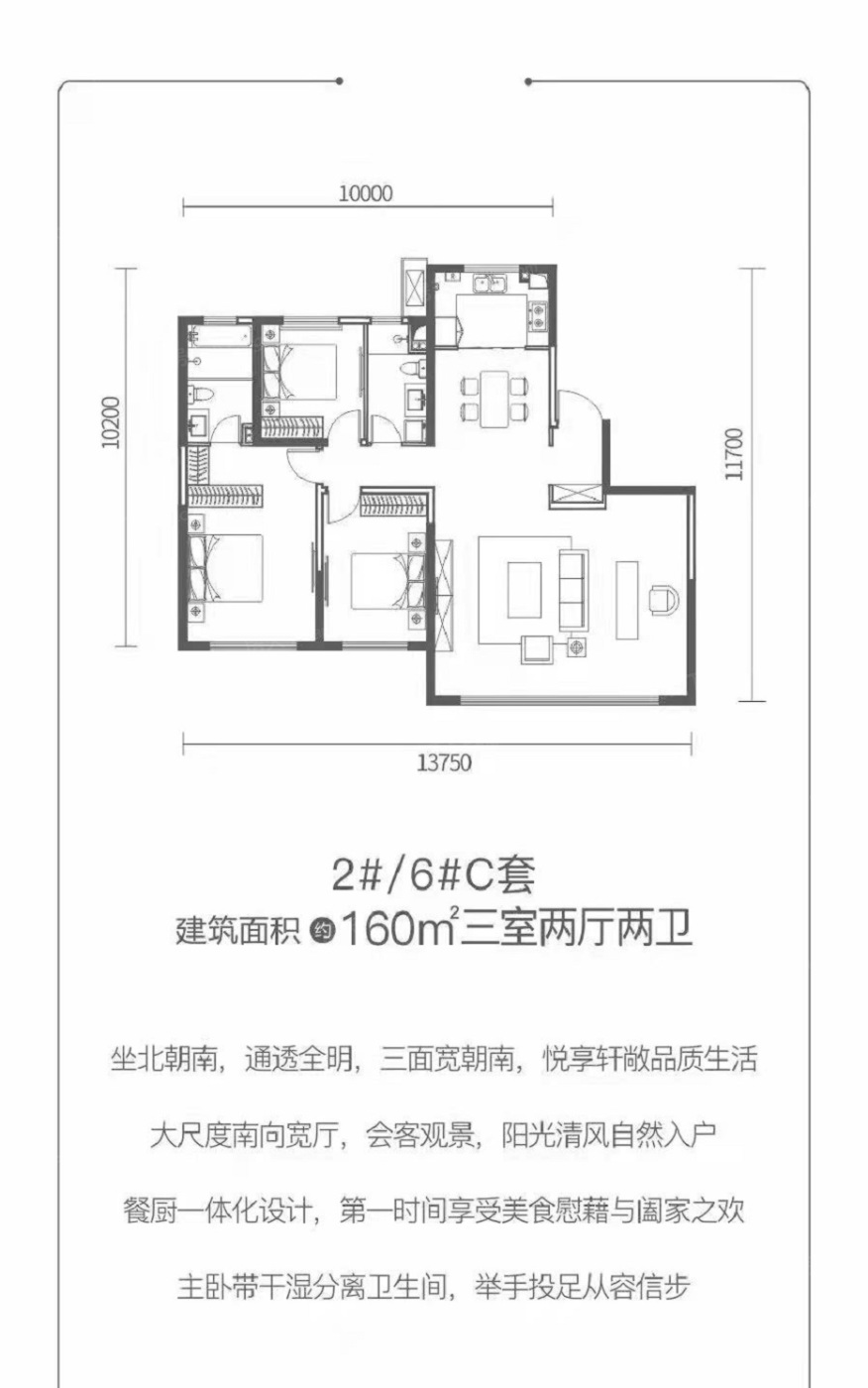 户型图:160平户型