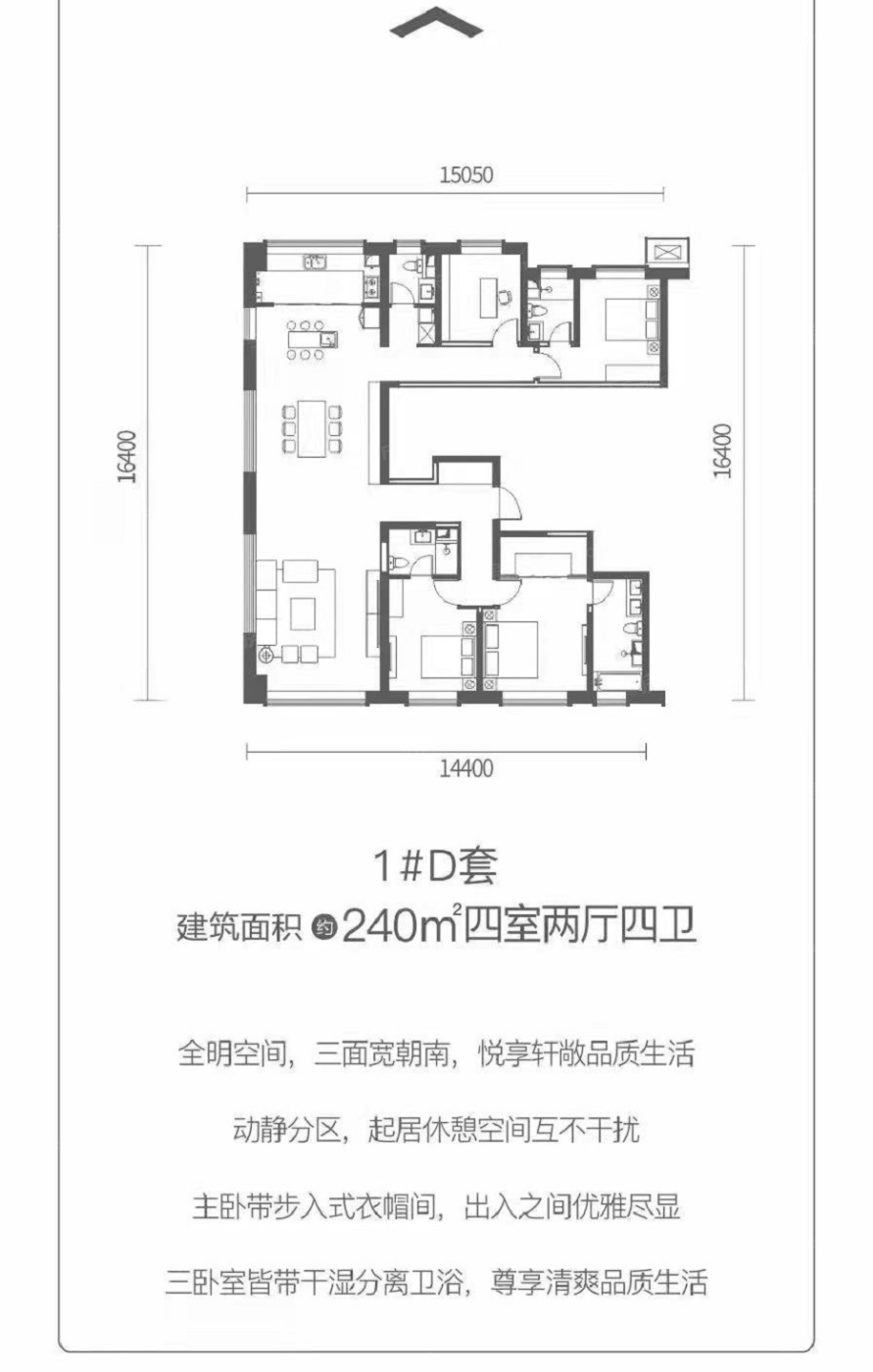 户型图:240平户型