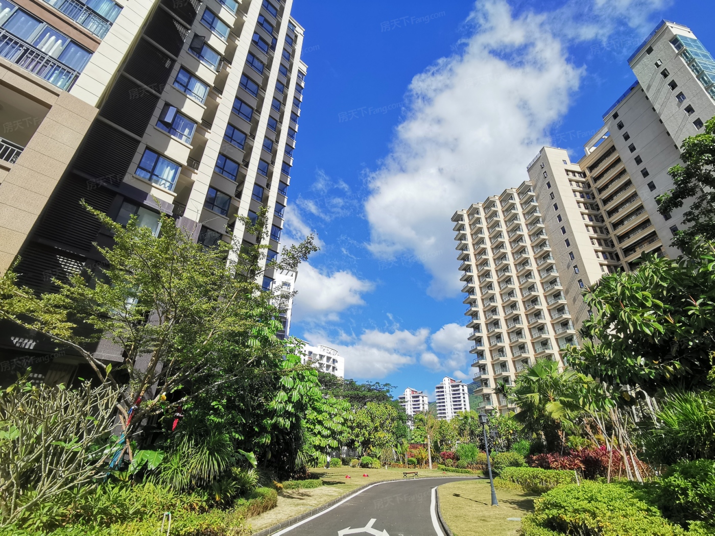 实景图:小区环境