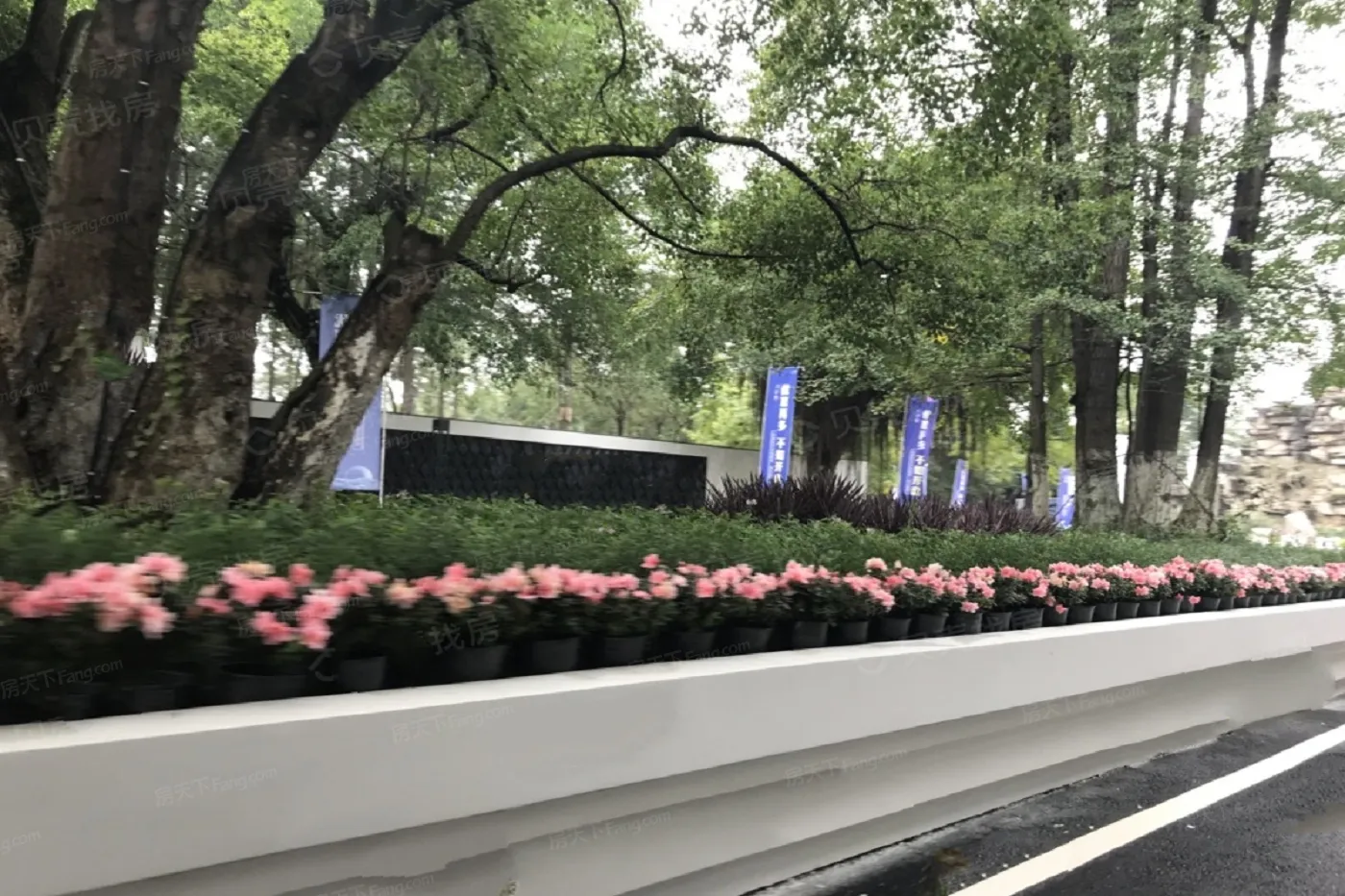 水天花月兰亭旭3室2厅2卫南北朝向600.00元/月出租