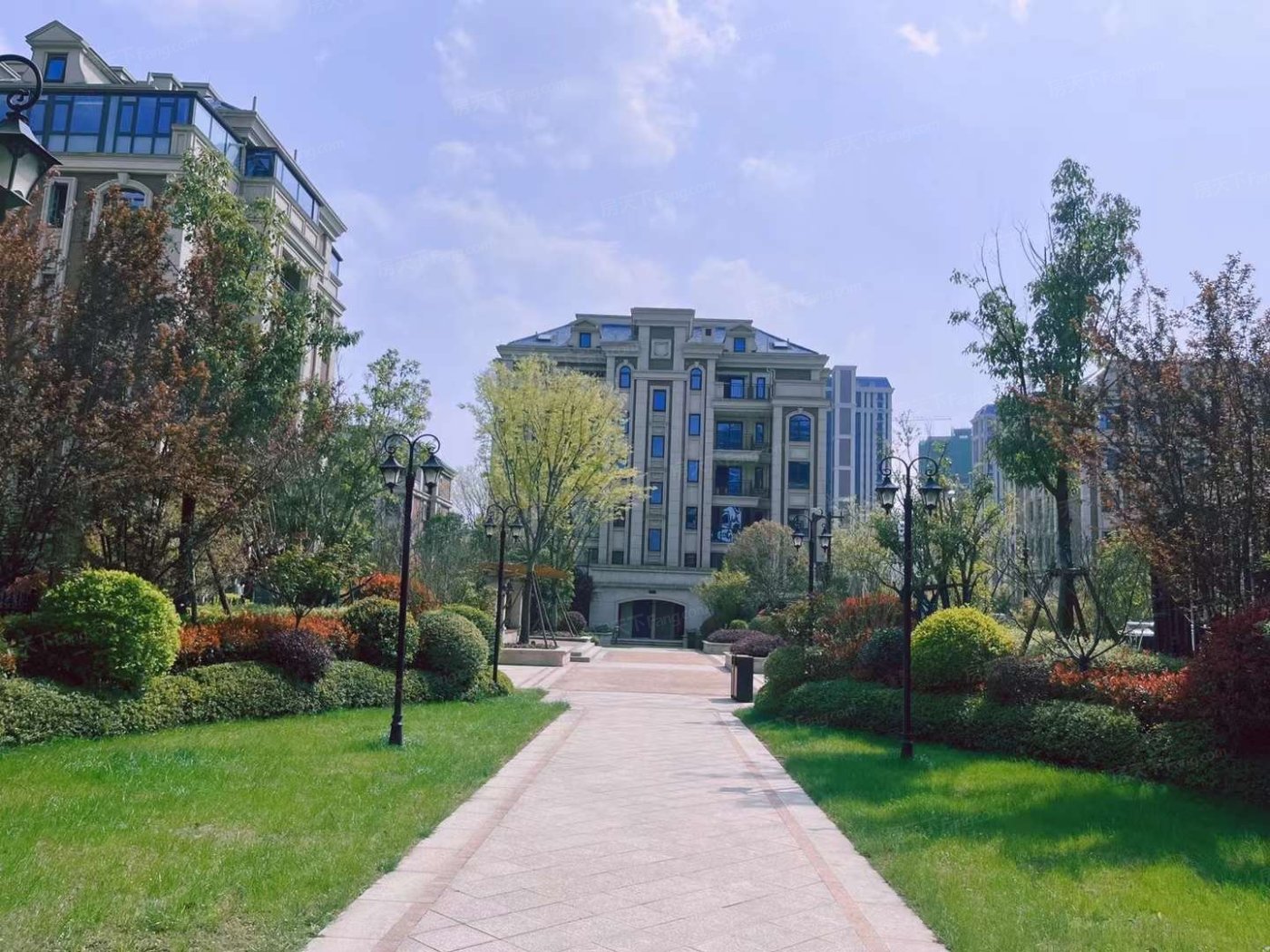 实景图:实景图