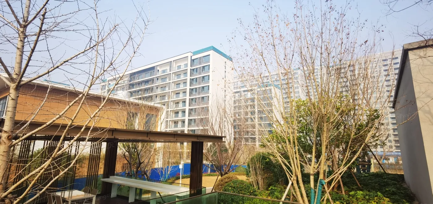中交凤鸣九章3室2厅1卫南北朝向2800.00元/月出租