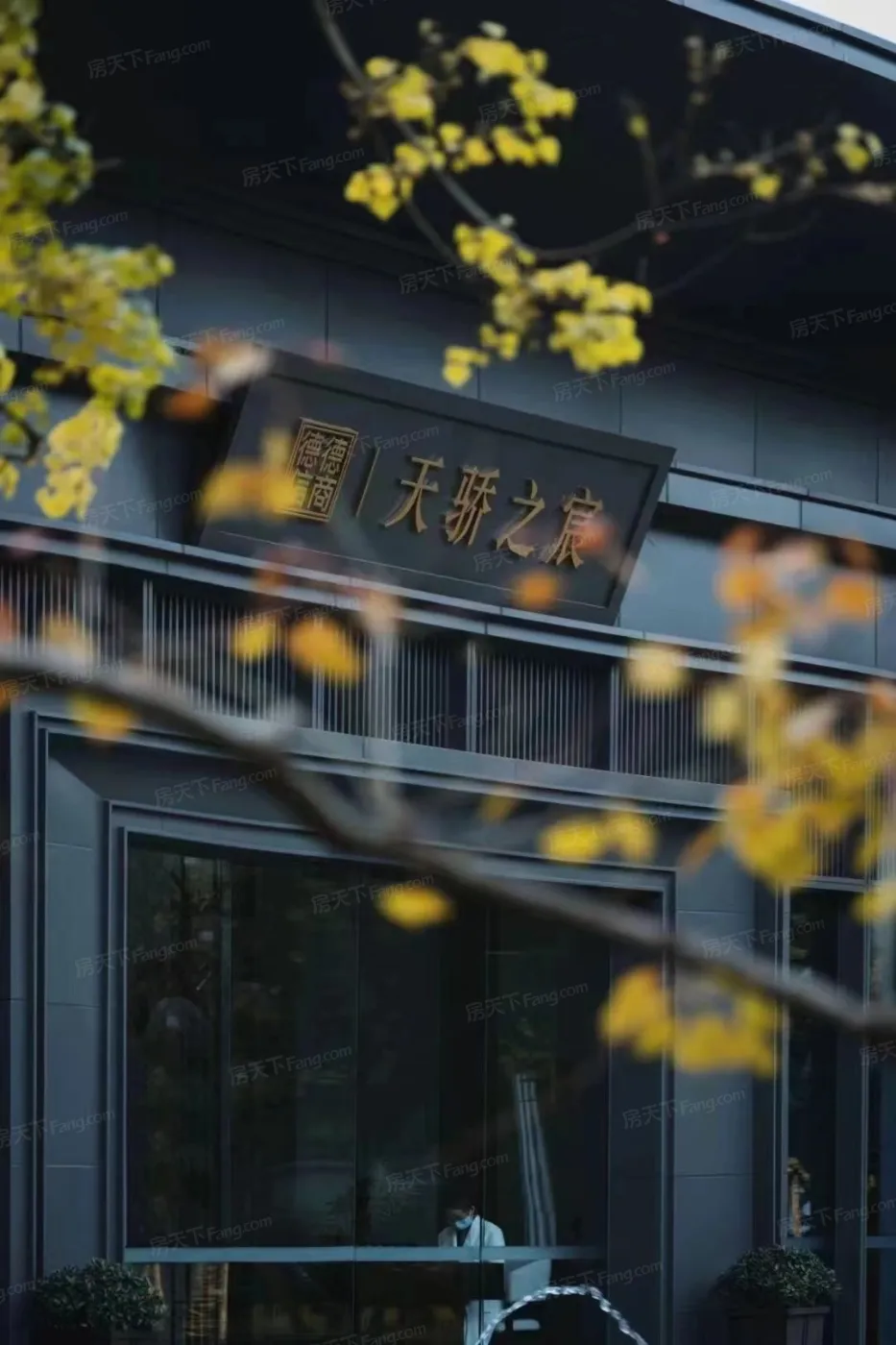 德信德商天骄之宸4室1厅1卫南朝向2600.00元/月出租