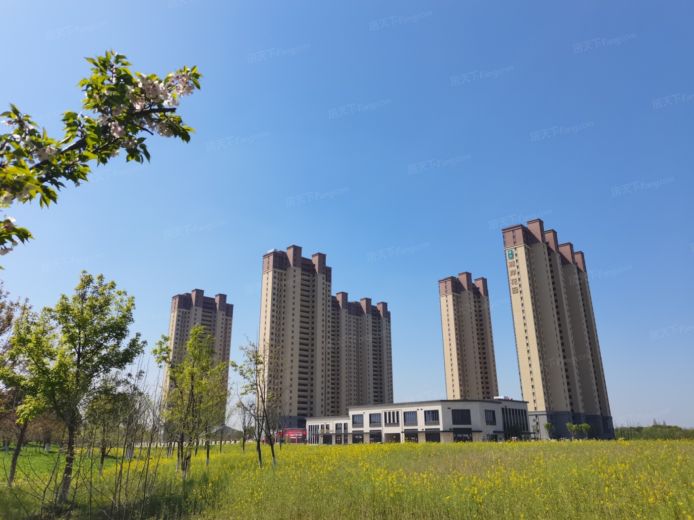 改善住房？为你搜罗2024年04月上海上海周边的热门四居室楼盘！