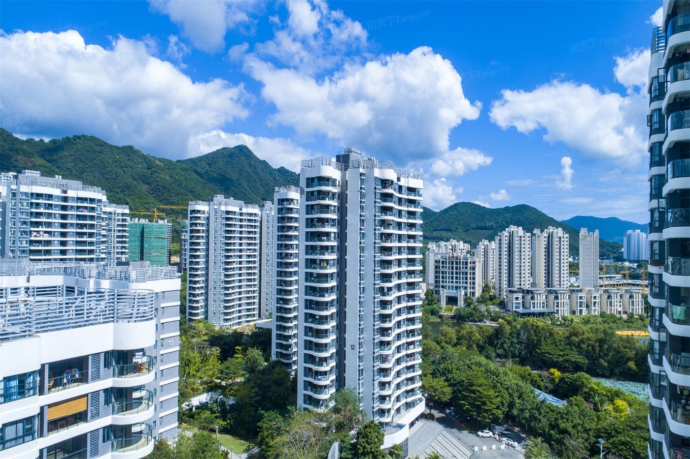 实景图:园林实景图