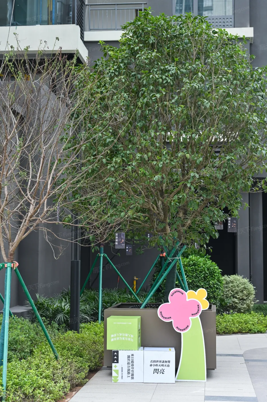 先看规格,再看价格,2026年01月广州南沙30000-50000元/㎡的这些楼盘你肯定满意!-广州房天下