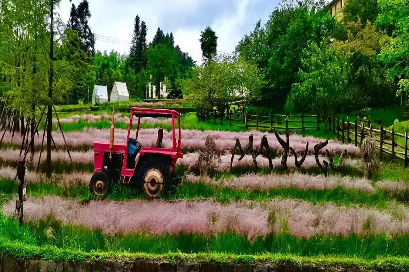 实景图:微信图片_20240223154240