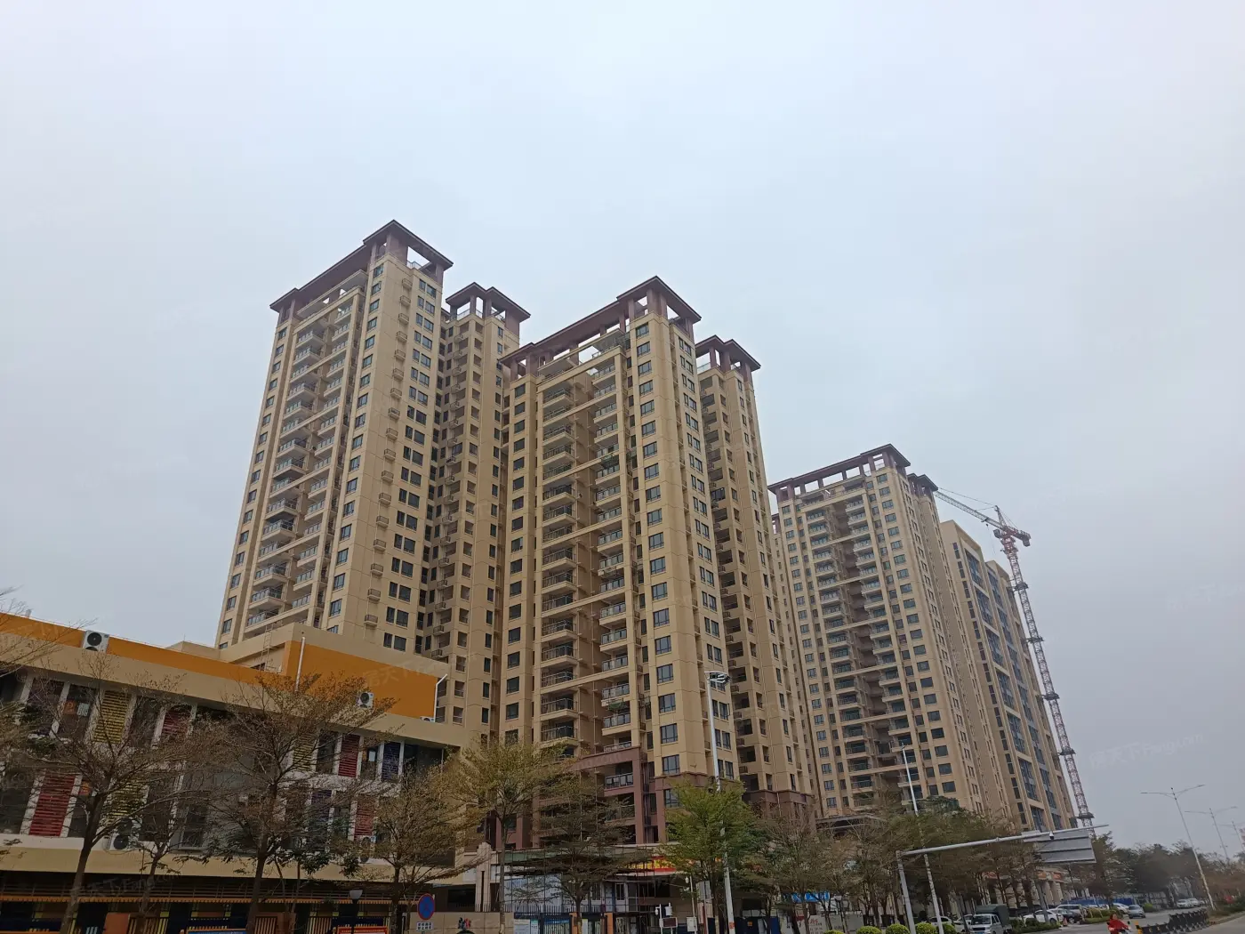 实景图:实景图
