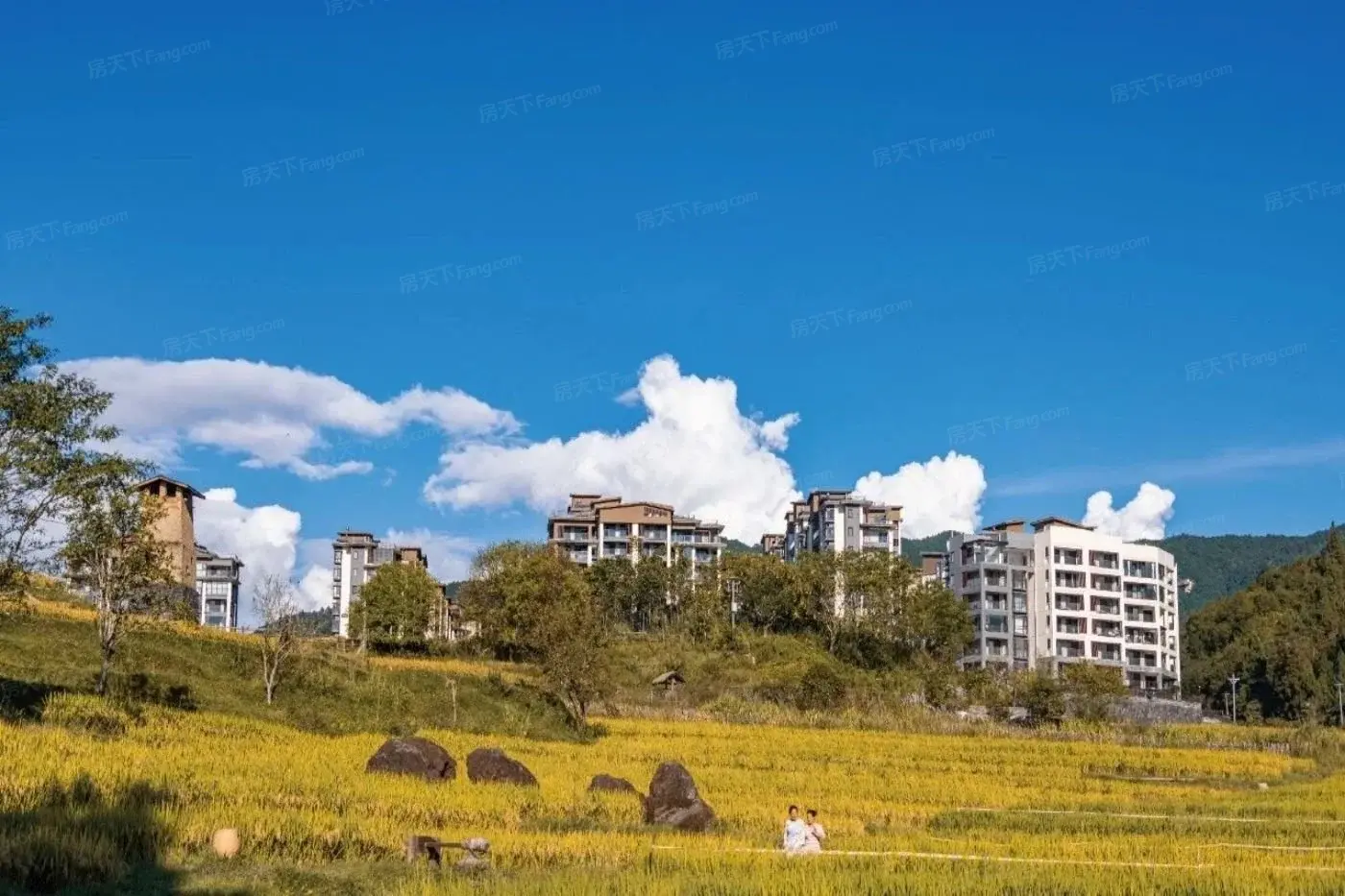 实景图:微信图片_20240223153652