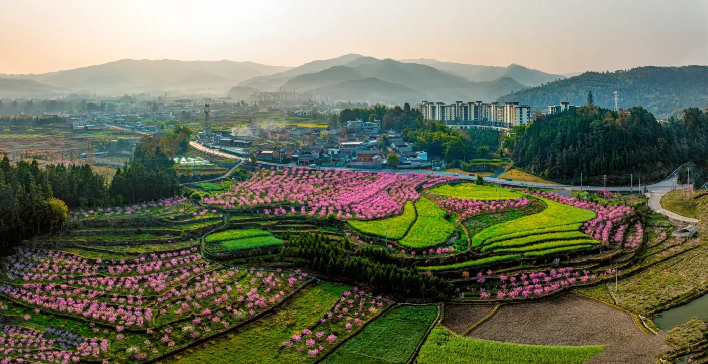 实景图:微信图片_20240907100313