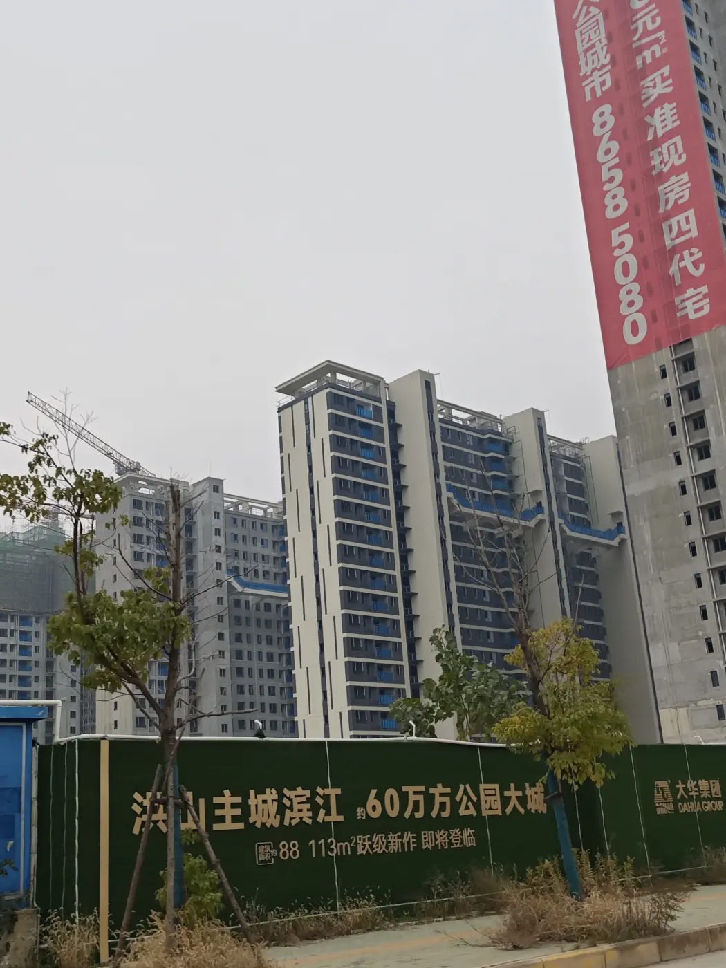 实景图:IMG_20241226_115953
