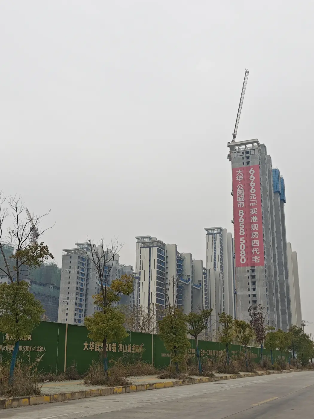 实景图:IMG_20241226_115934