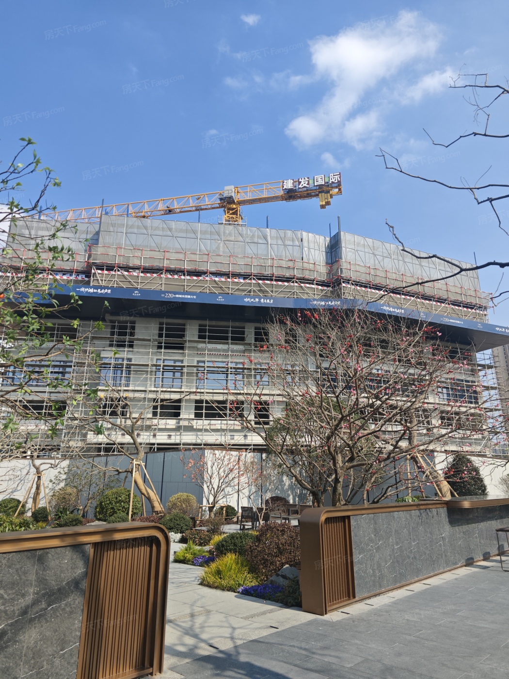 实景图:IMG_20250227_142344