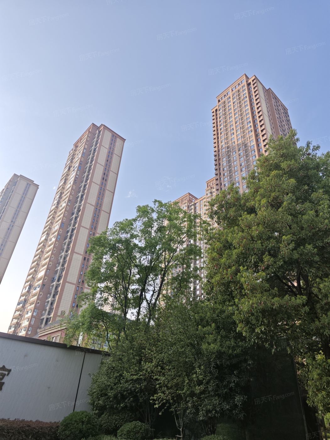 实景图:IMG_20250409_165957