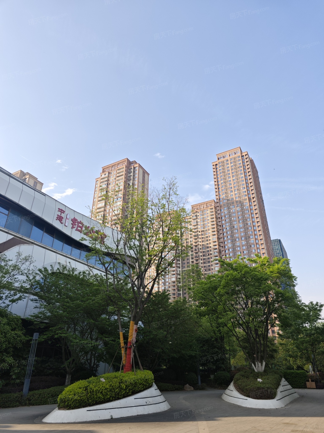 实景图:IMG_20250409_170151