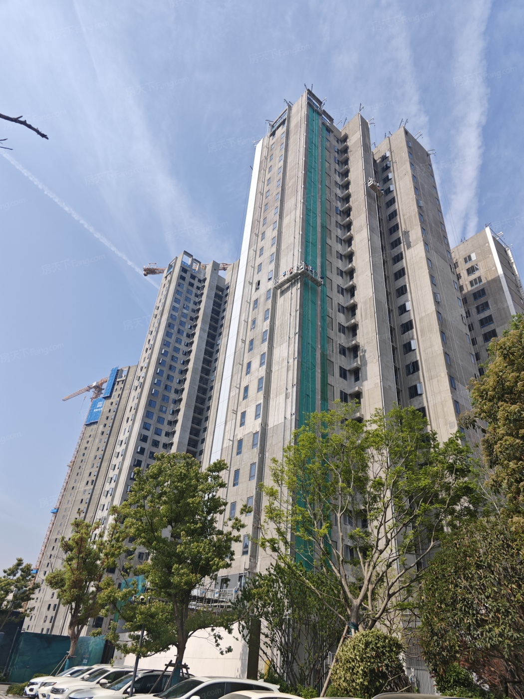 实景图:IMG_20250408_095259